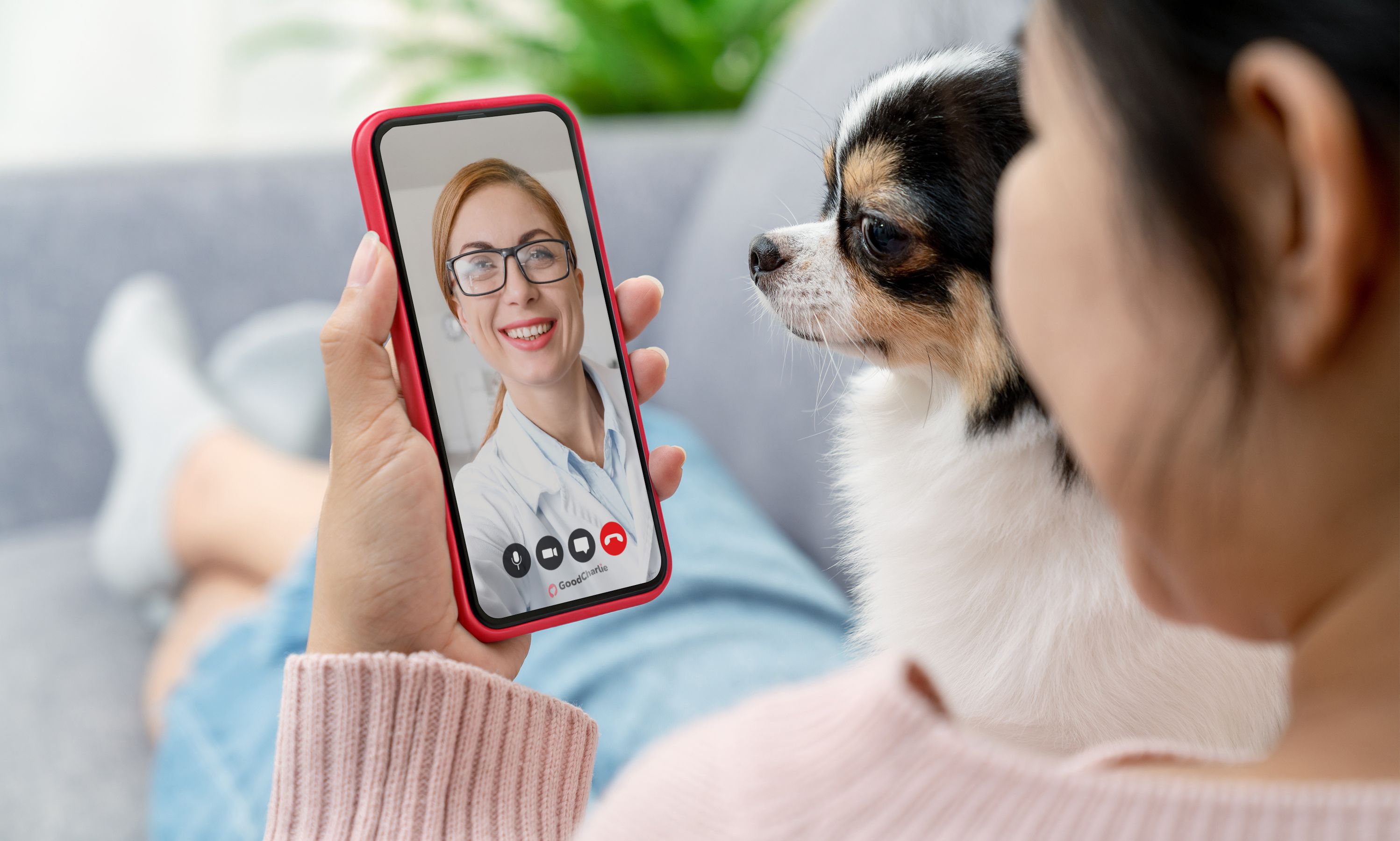 A woman wearing a pink sweater is sitting on a sofa with a dog beside her. She is on a video call with a vet doctor.